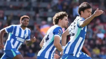 مباريات اليوم.. مواعيد صدام برايتون وبورنموث ومواجهة إلتشي ضد إشبيلية بالدوري